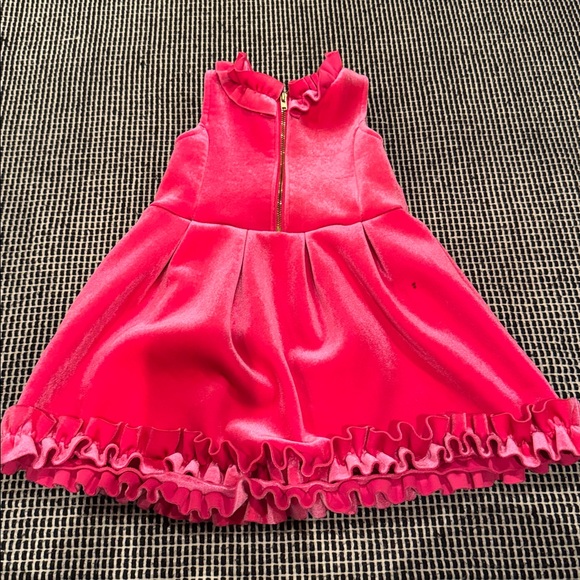 Pink Ruffled Velvet Dress 3T - Picture 5 of 10